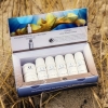 oceanwell-zum-testen