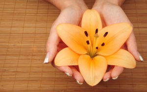 natuerliche-kosmetik-