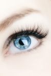 neueroeffnung-wimpern-homestudio-in-bremen-und-umgebung
