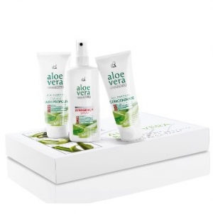 aloe-vera-box-hausapotheke