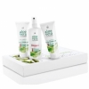 Aloe Vera Box Hausapotheke
